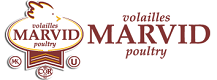 marvid_logo-2